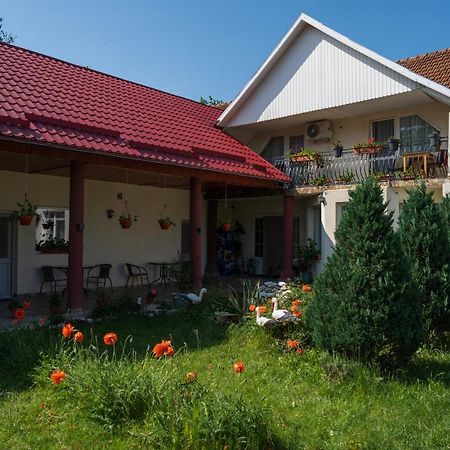 Denisa & Rares Hotel Tasnad Exterior photo